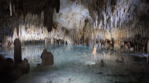 Interesting place to visit... great to see what's under your feet