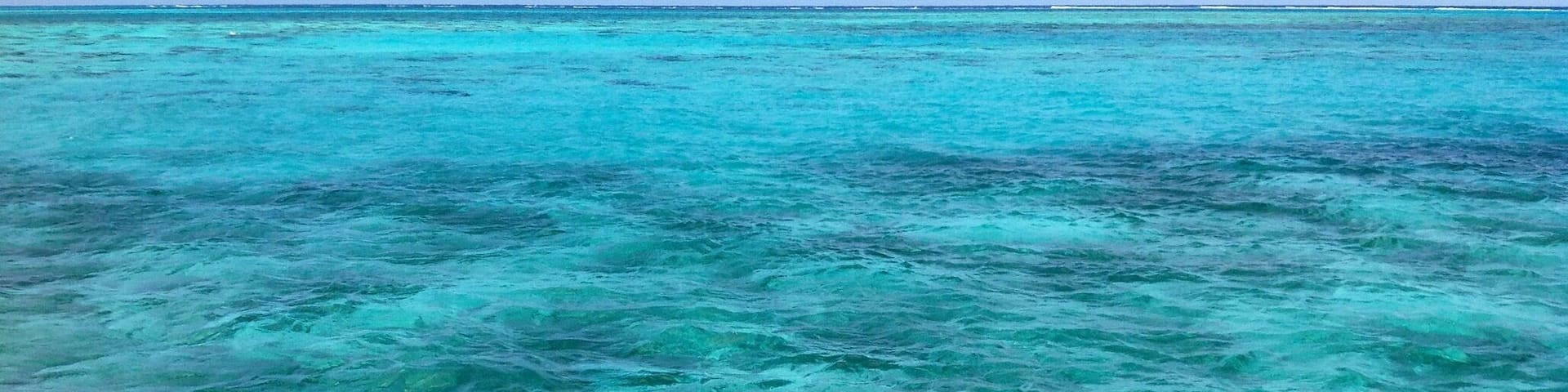 If you visit Cayman Islands, Rum Point is a must see! Beautiful water, so clear you can see the Stingrays