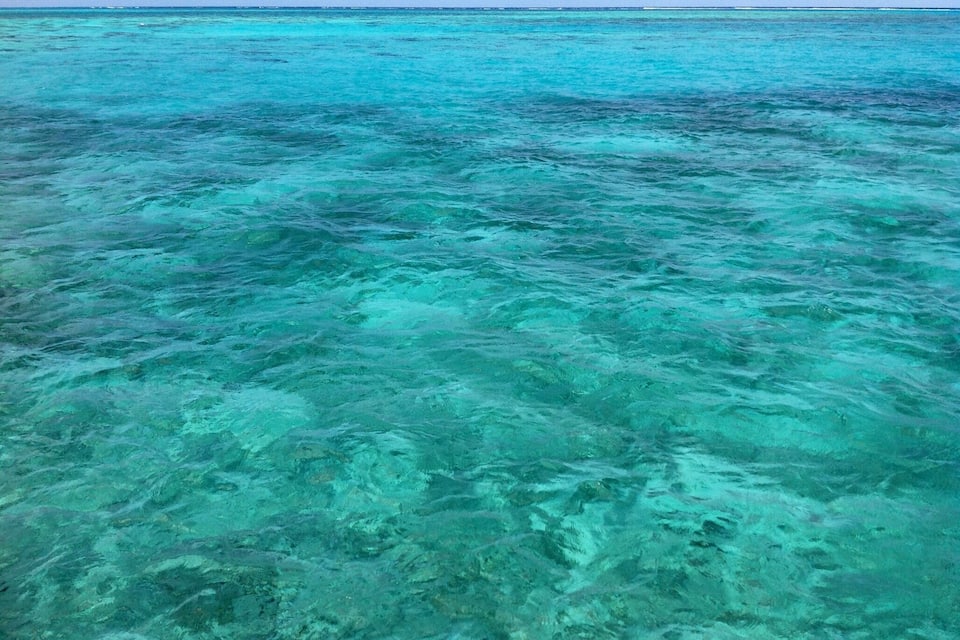 Clear turquoise ocean water with visible underwater terrain.