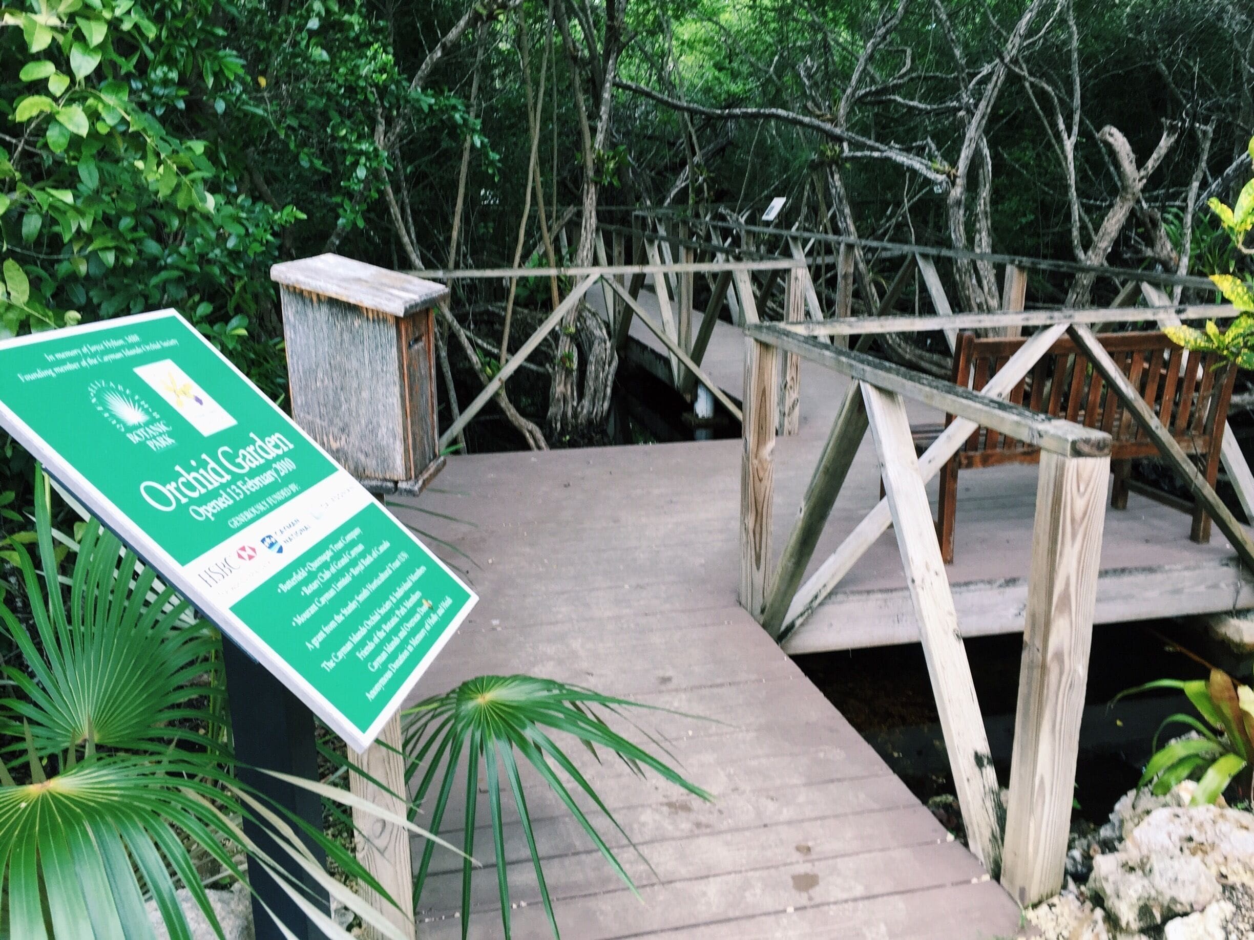 Wander the botanic park and gardens or tour the Blue Iguana Recovery Program.
More on www.ajauntwithjoy.com