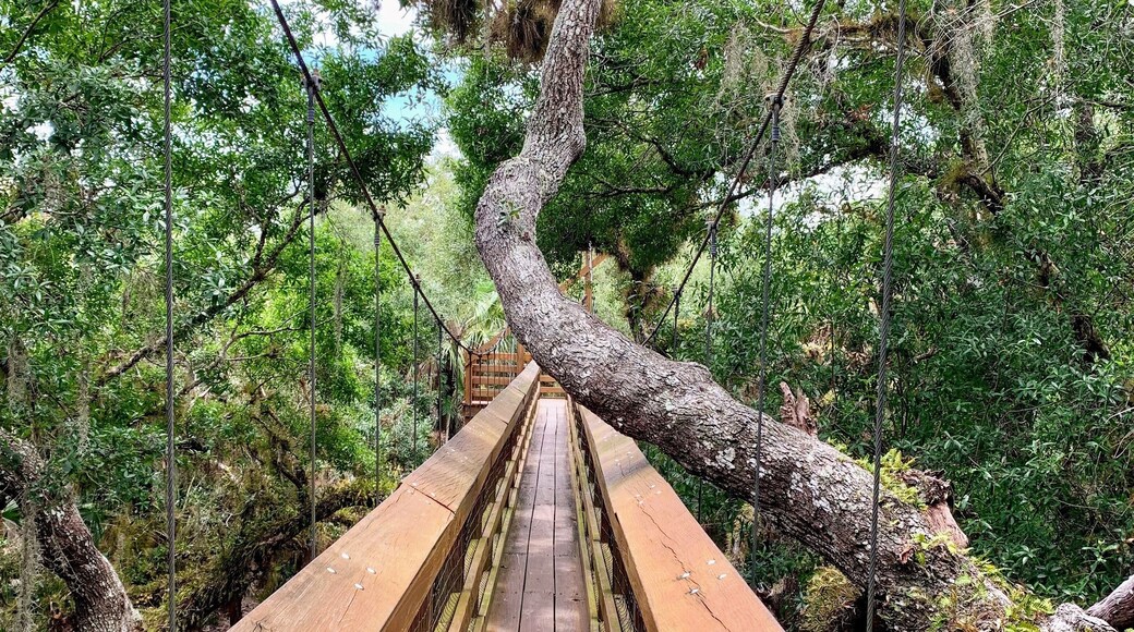 Myakka River State Park.