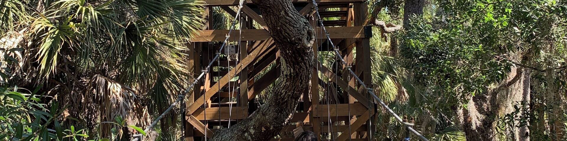 walkway suspended 25ft above the ground lets you walk through the oak/palm hammock canopy towards the 74ft high tower that takes you through and above the canopy for a birds eye view of this beautiful park.