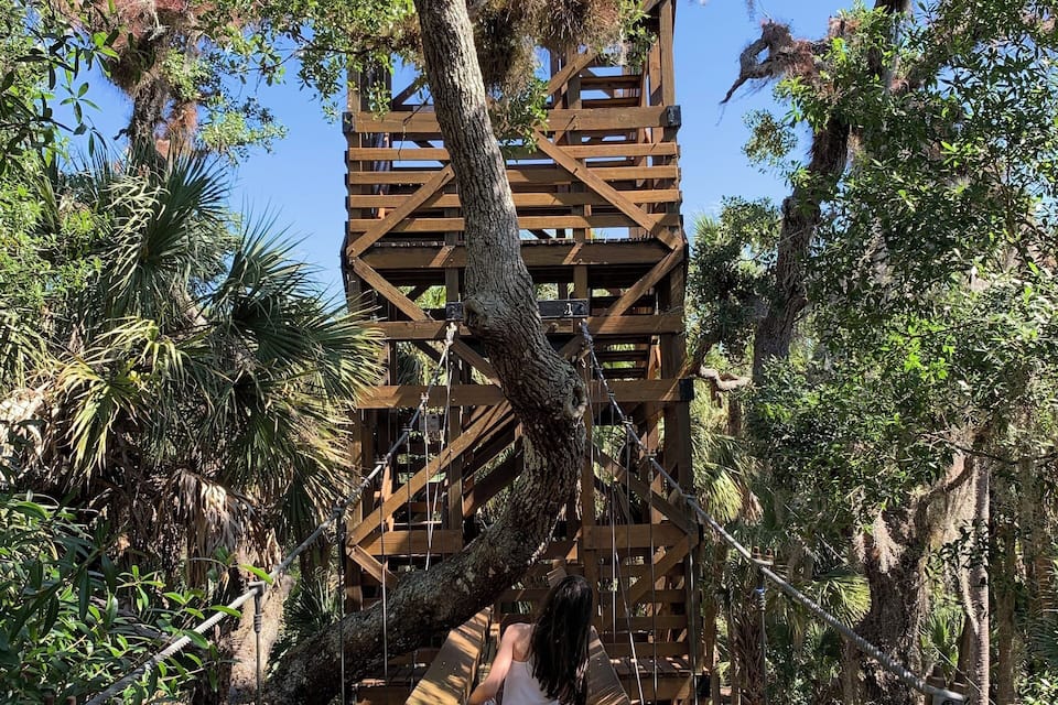 A wooden bridge with a person walking on it, surrounded by trees and a wooden structure in the background.