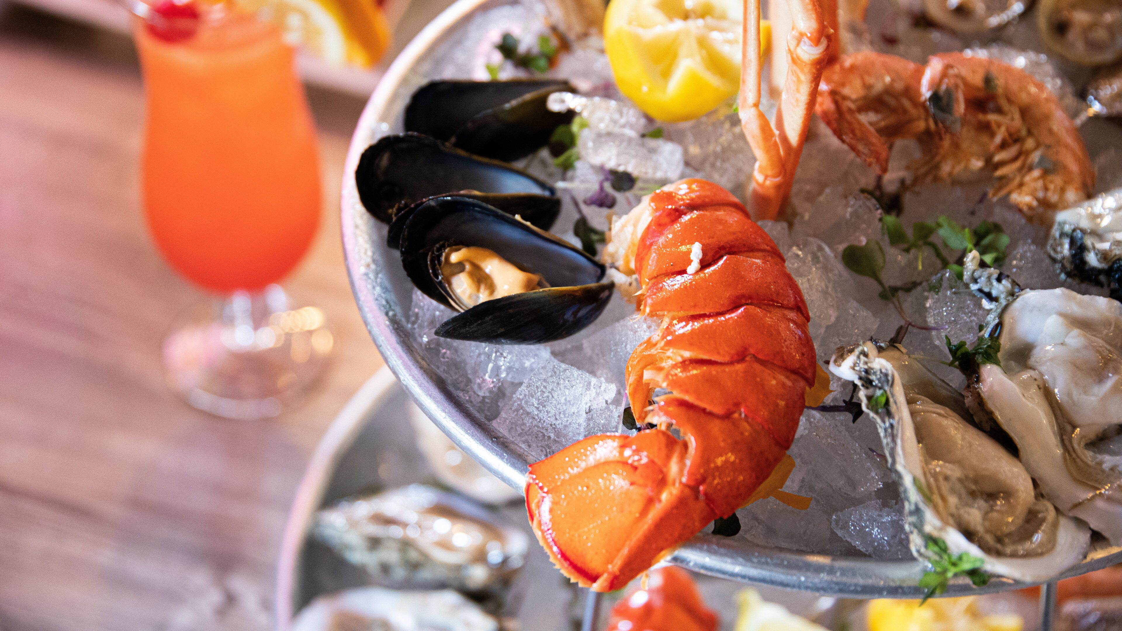 Siesta Key showing food and dining out