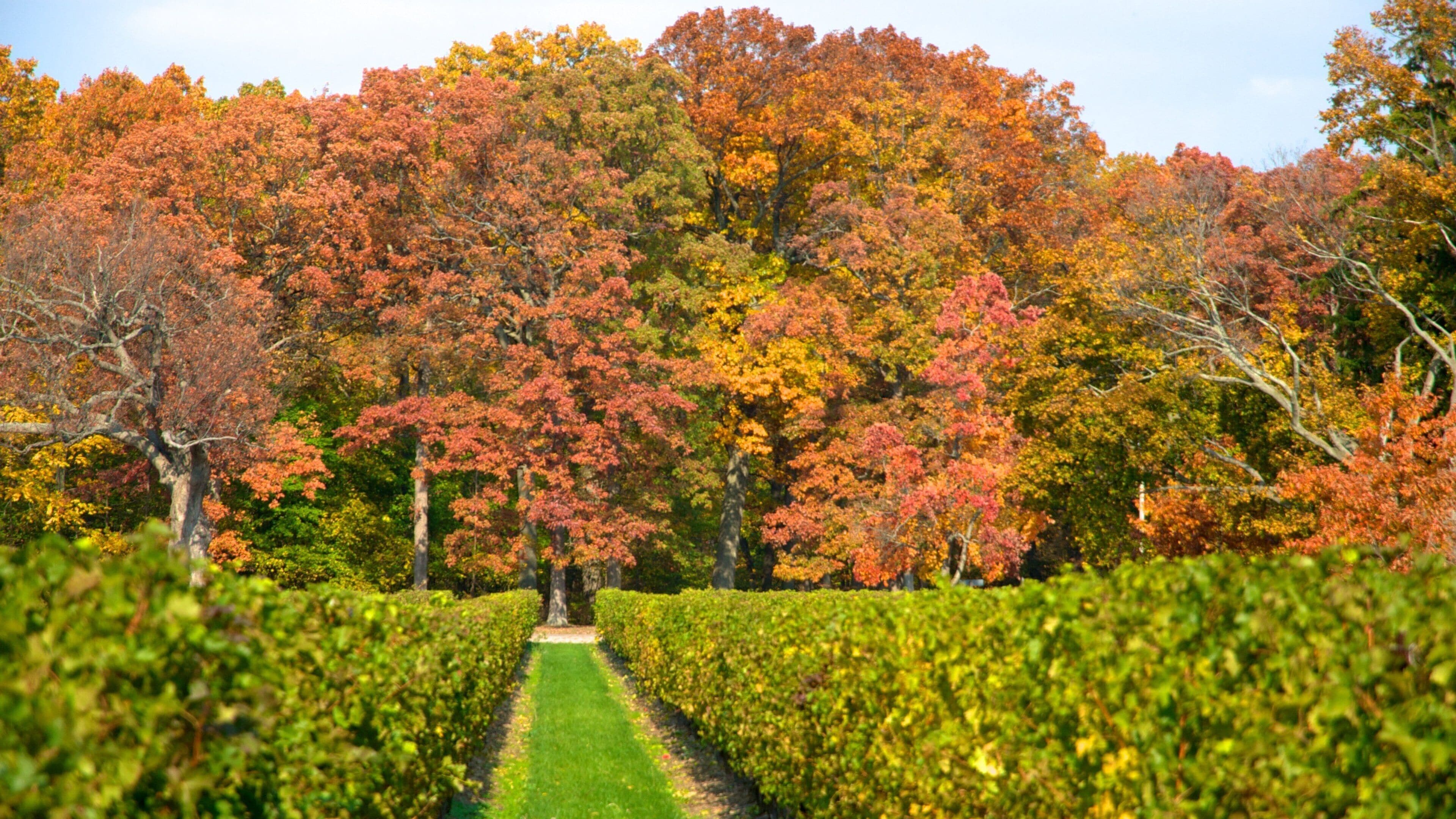 Niagara Falls which includes autumn leaves and a garden