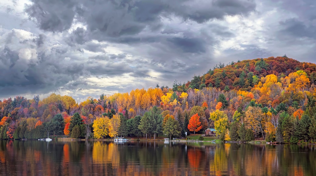 Fall colours along the Gatineau river reflected in water, Quebec, Canada