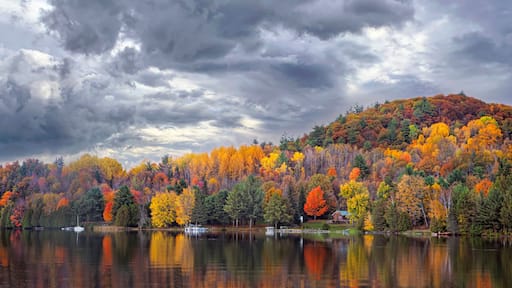 Fall colours along the Gatineau river reflected in water, Quebec, Canada