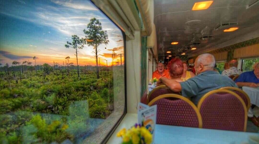 Took the wife to the murder mystery in ft Myers Florida. This was about an hour into the ride as the sun was setting.