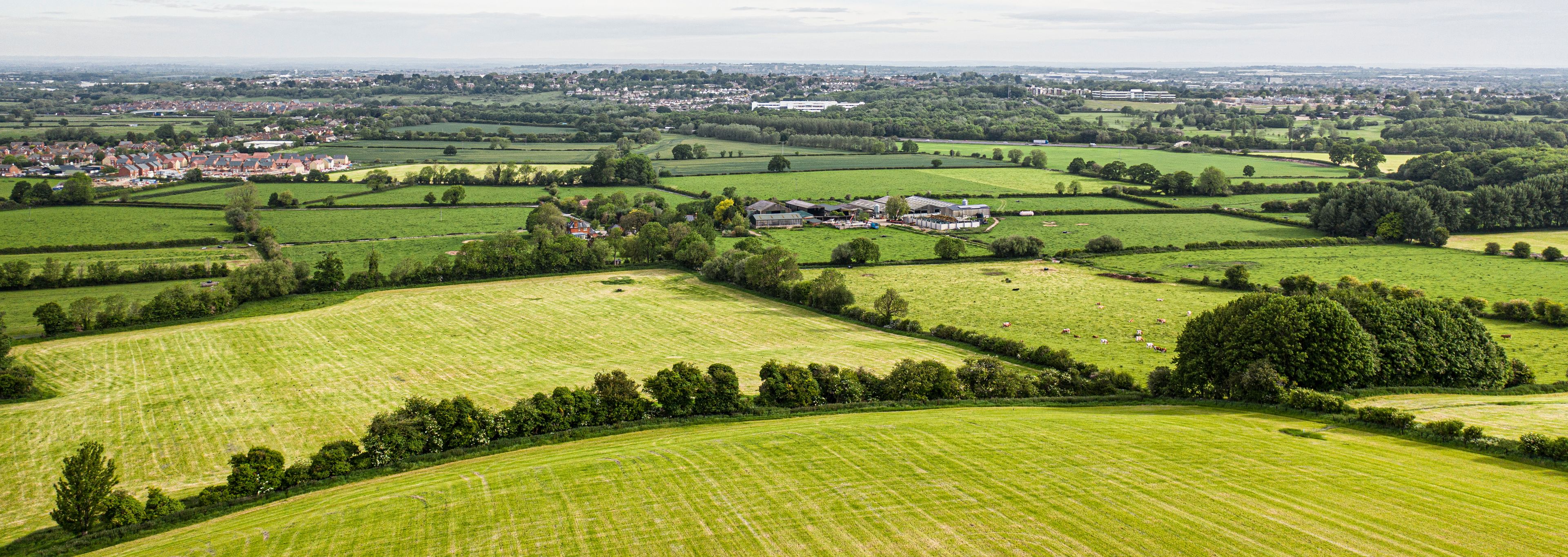 Chiseldon