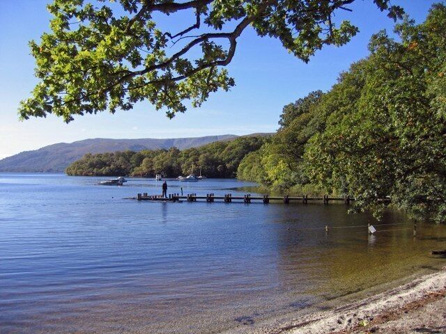 A calm lake with a wooden dock extending into the water, surrounded by dense green trees and hills in the background.