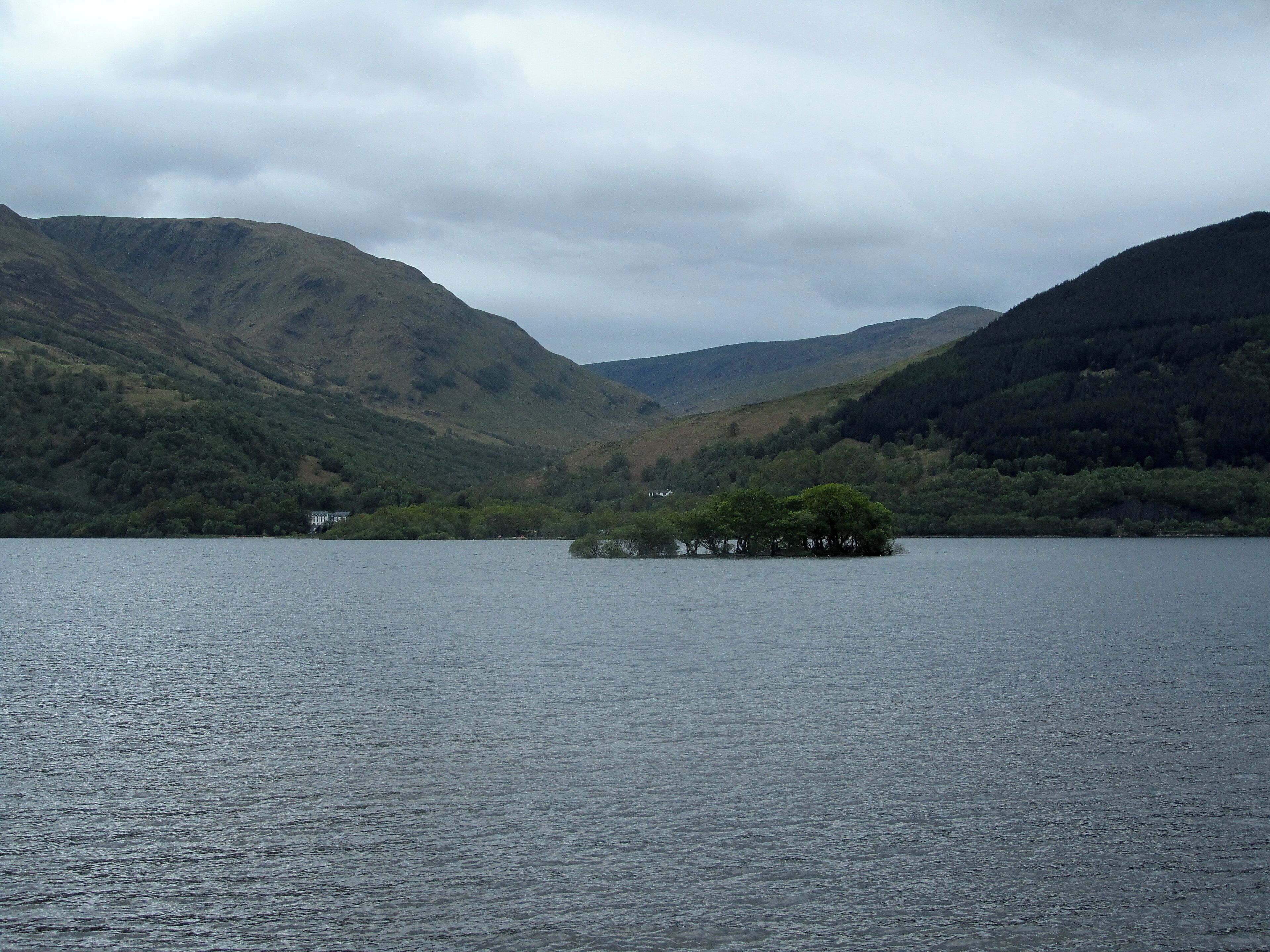 Eilean nan Deargannan is a small island in Loch Lomond, Scotland