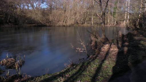 The West Lake at Low Barns Nature Reserve