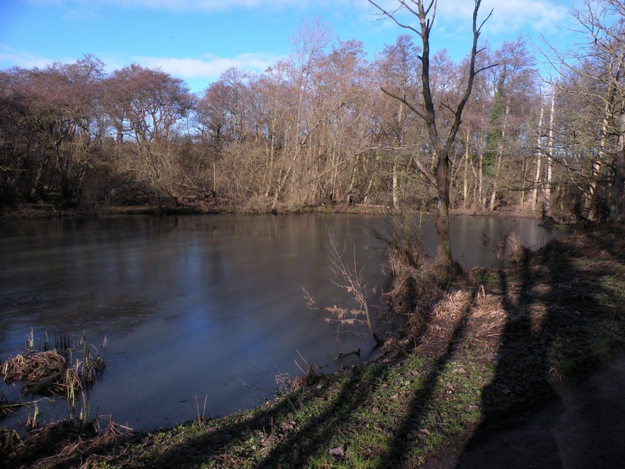 The West Lake at Low Barns Nature Reserve