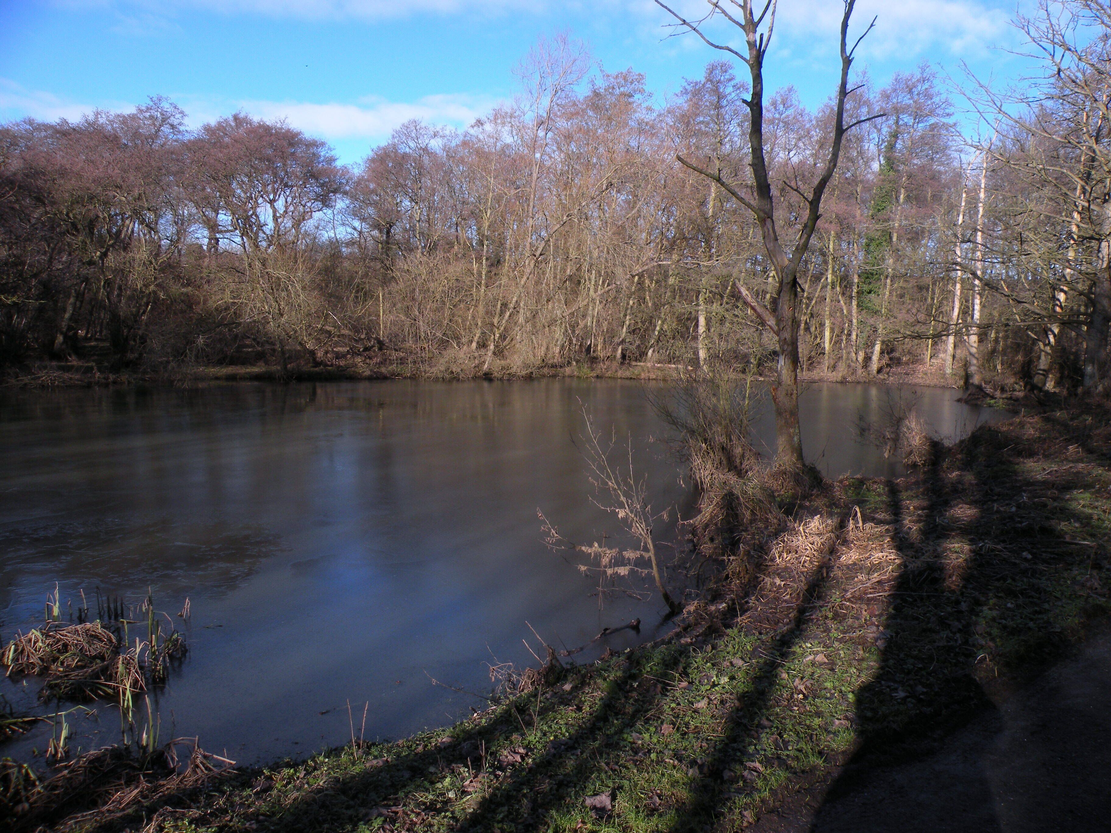 A calm river with trees and a clear sky.