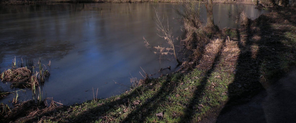 A calm river with trees and a clear sky.