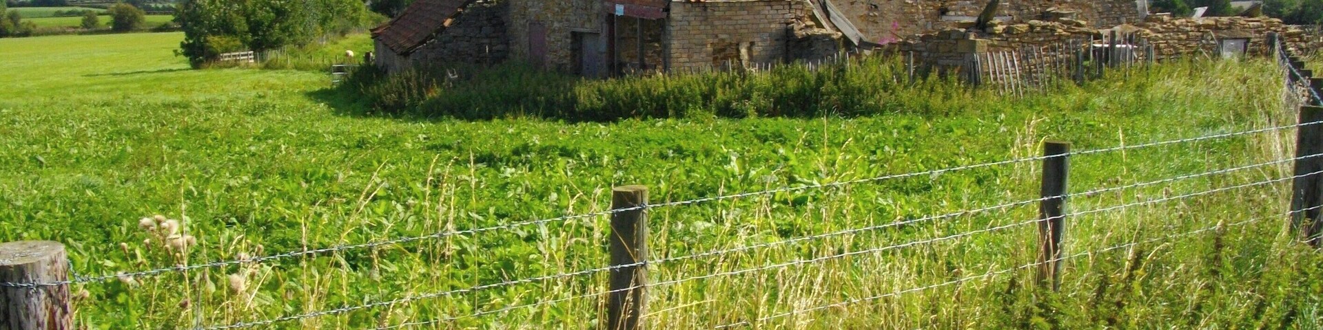 A dilapidated stone building with a tiled roof surrounded by a grassy field and a barbed wire fence.