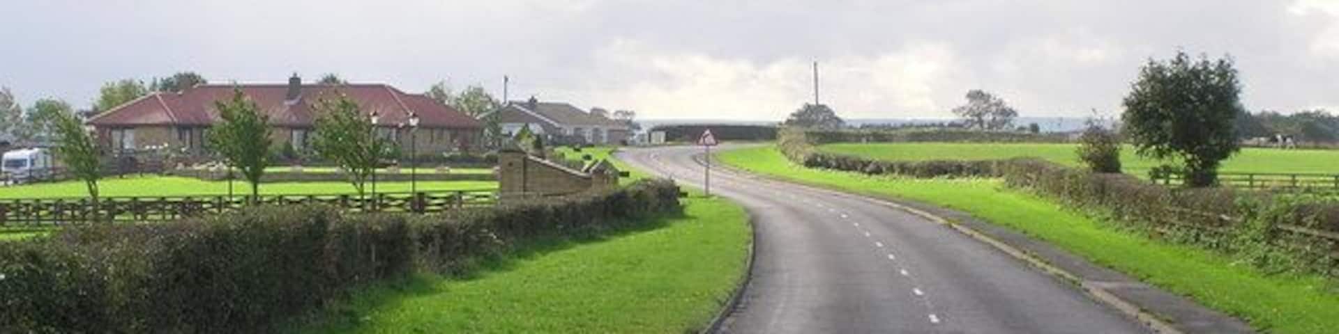 Copeland Lane : Checker Leazes Looking southwest toward Evenwood, on Copeland Lane with Checker Leazes on the left.