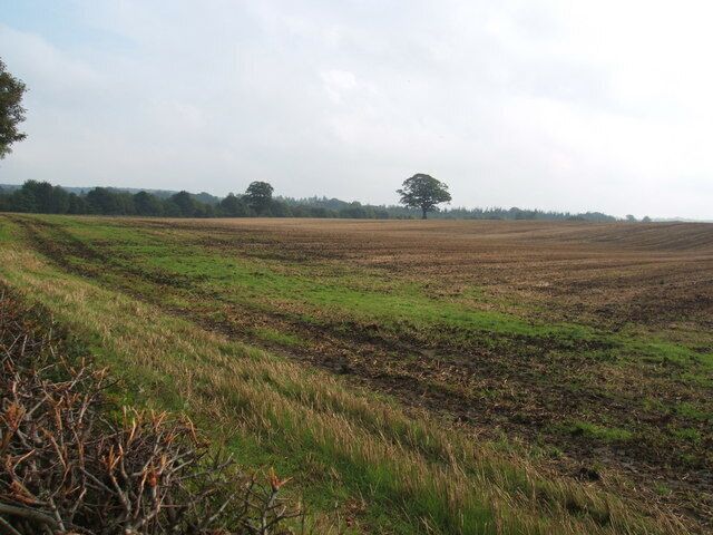 Stubble field at Fitches Grange.