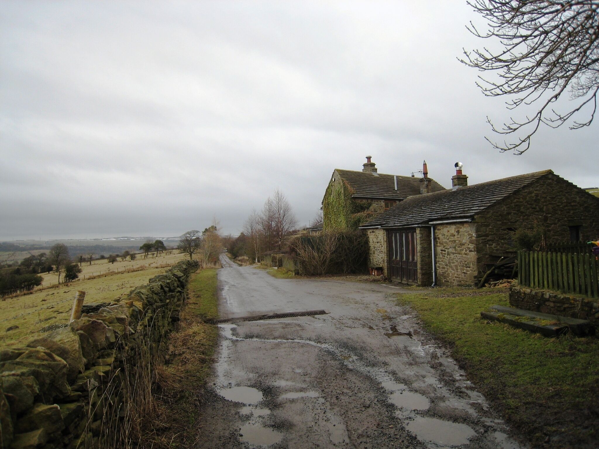 Snipe Cottage This photograph shows a view of Snipe Cottage in Rushy Lea Lane near Wear Bank. The picture was taken looking in a easterly direction towards Wolsingham.
