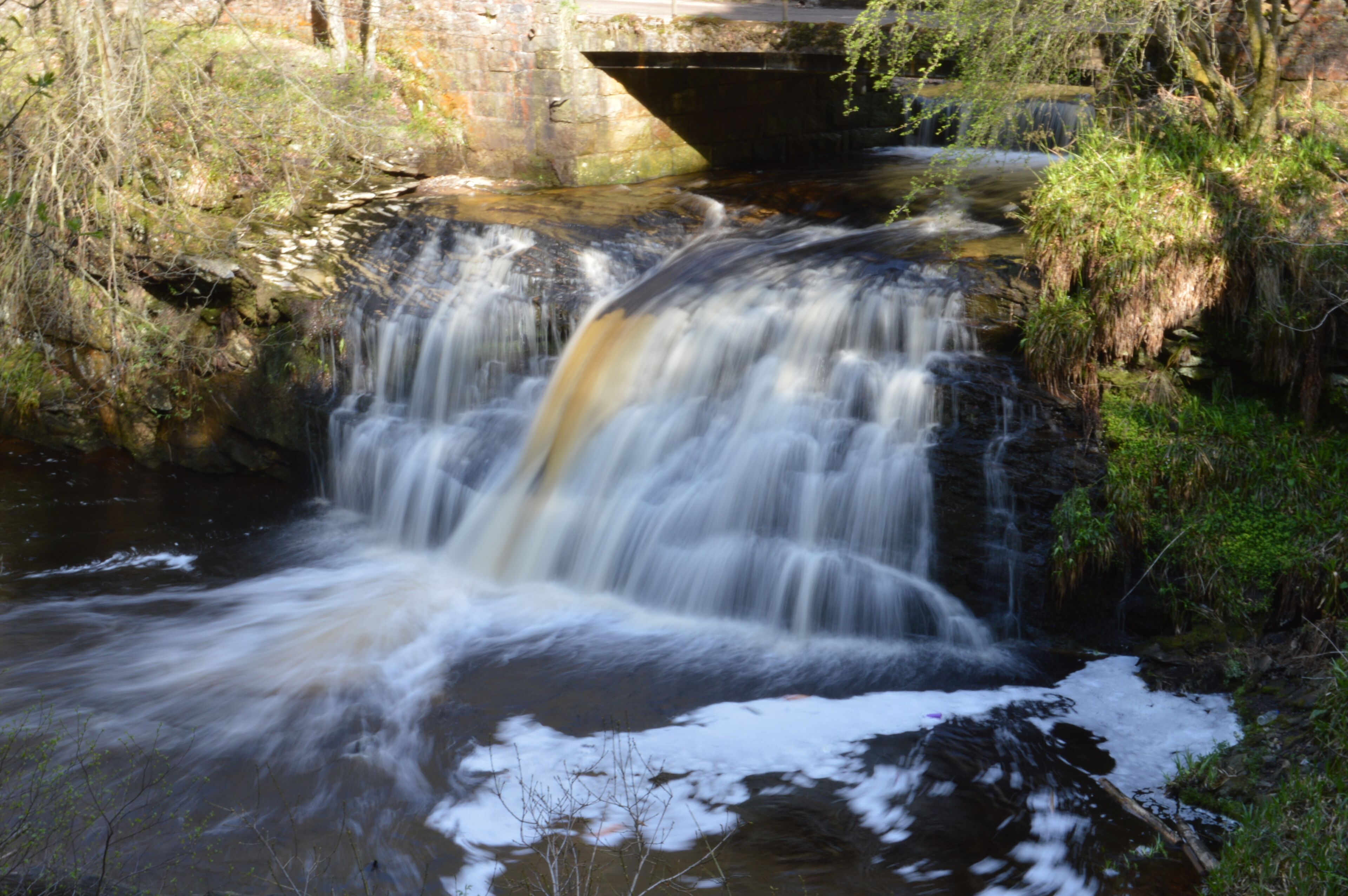 Waterfall in Hamsterley Forest, 2013