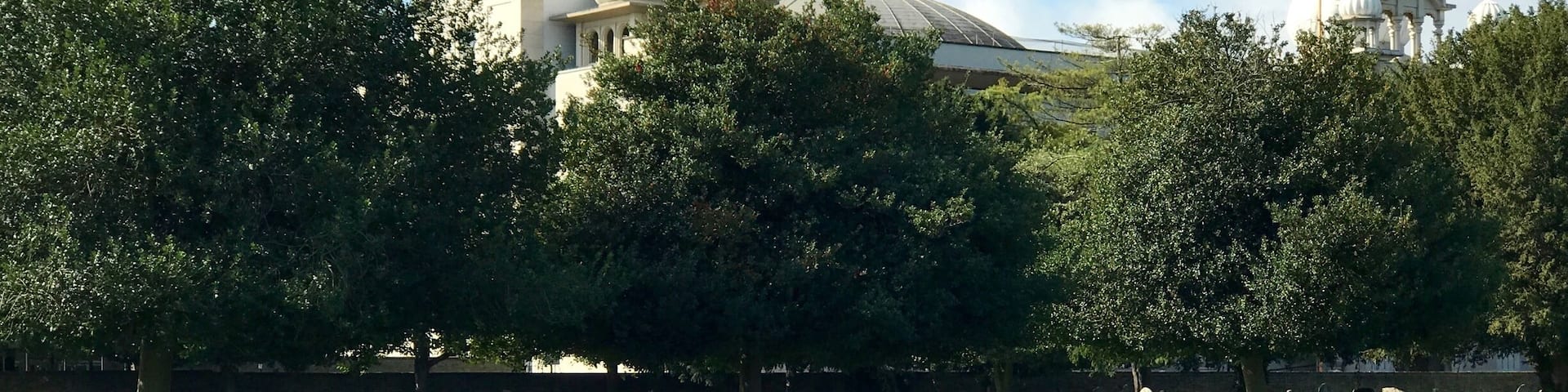 Sikh place of worship.
Date: 2003.
Nearest station: Southall.