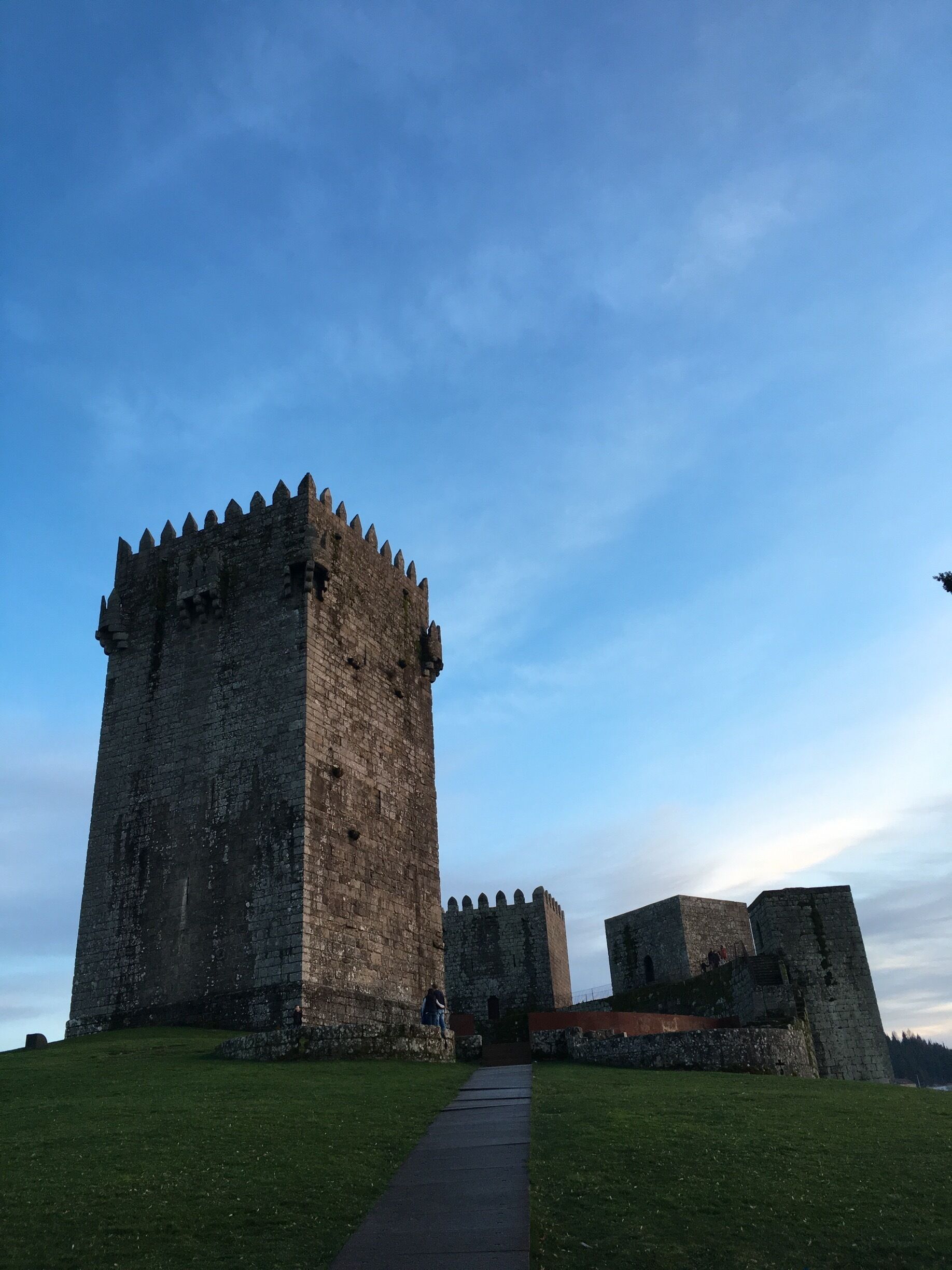 A medieval castle with a tall central tower and smaller towers, surrounded by a grassy area.