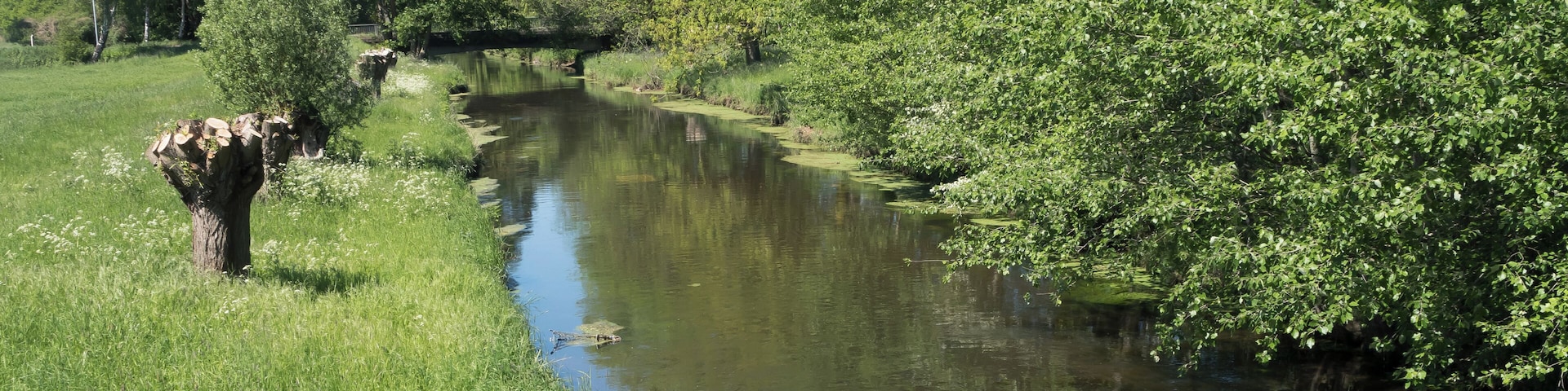 between Mülhausen and Grefrath, the Niers