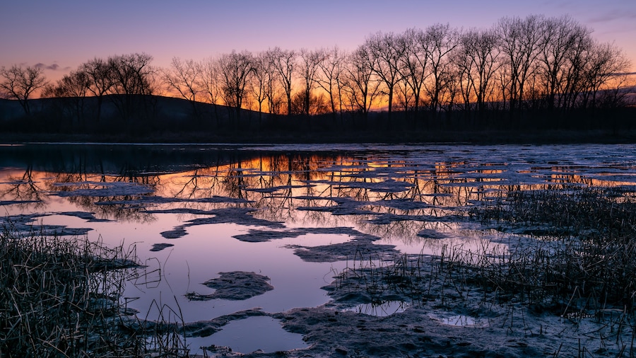 Un lago helado que refleja árboles y el cielo al atardecer.