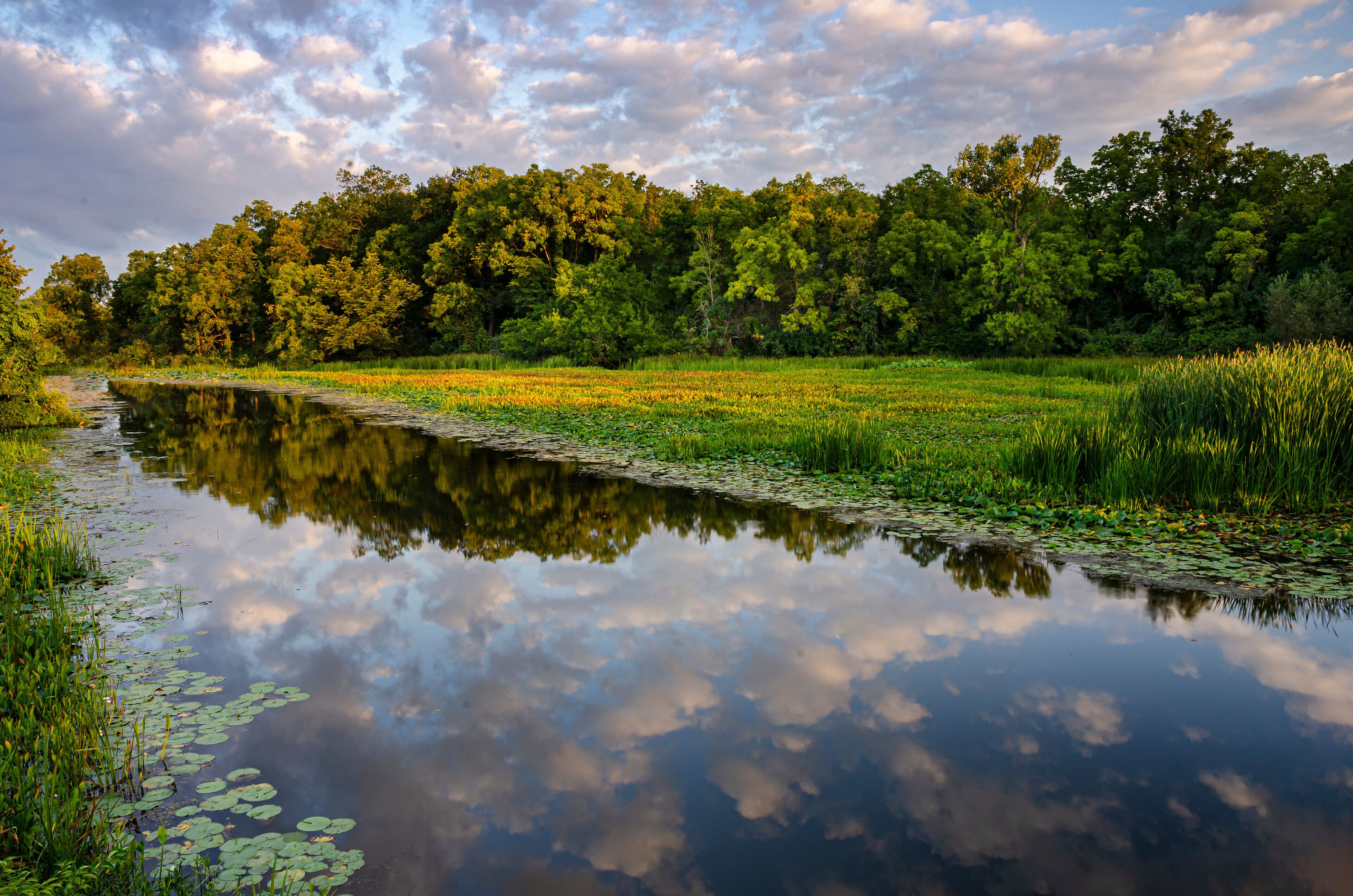 A calm river reflecting trees and sky.