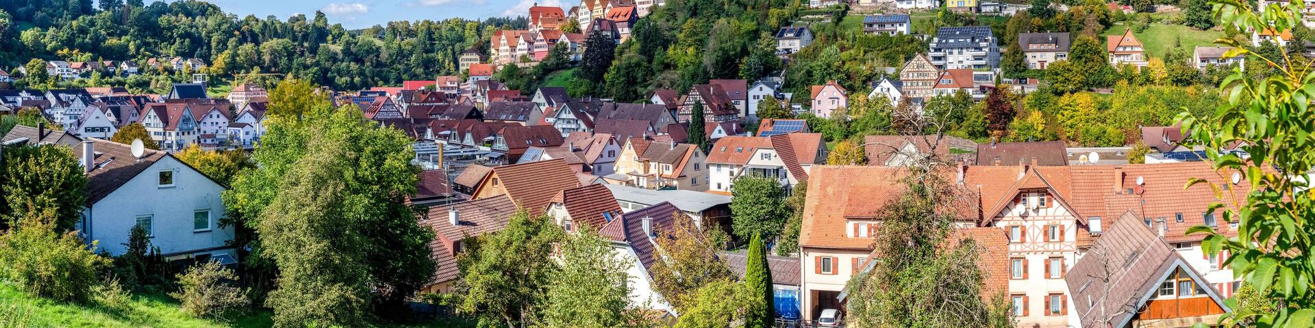 Blick über Altensteig, Schwarzwald, Deutschland