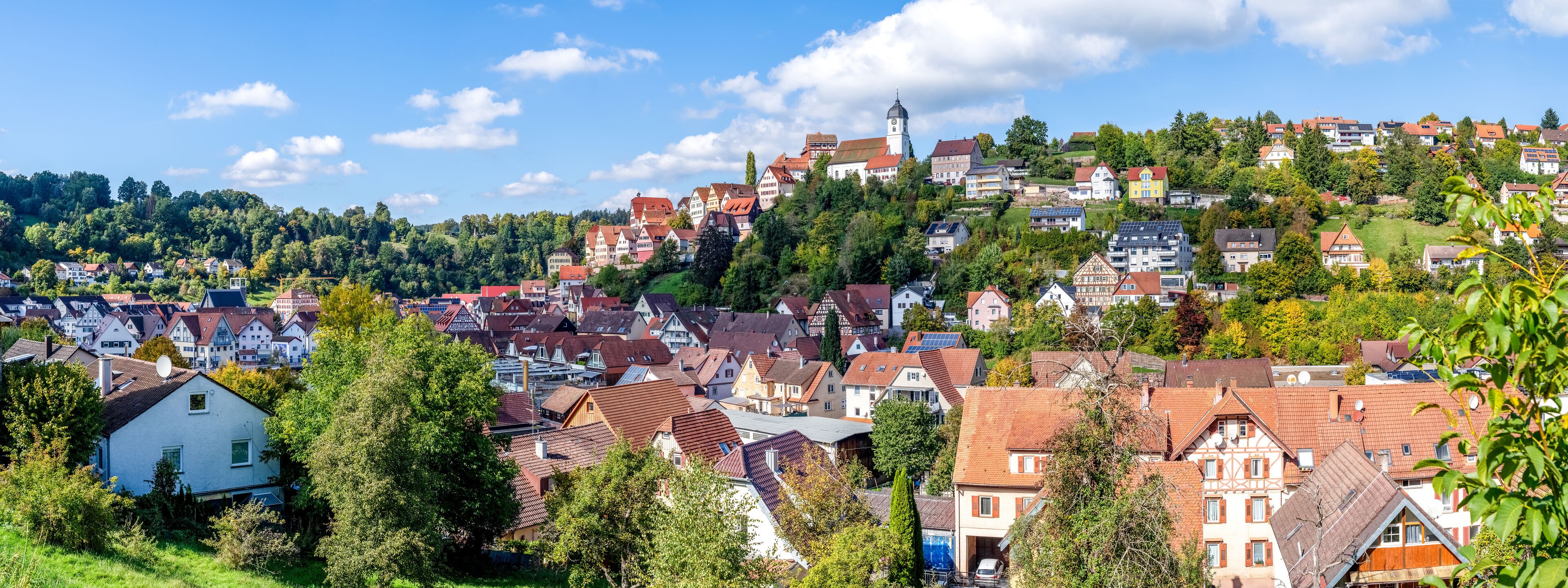 A hillside town with traditional houses, a prominent church, and lush greenery.
