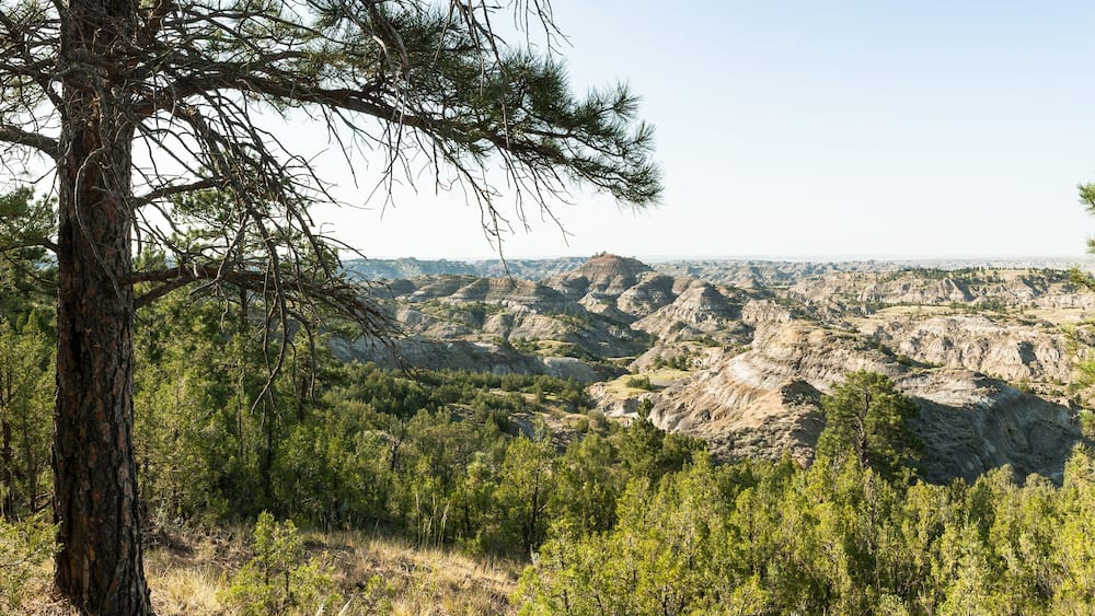 A mountainous landscape with dense forests and rugged terrain.