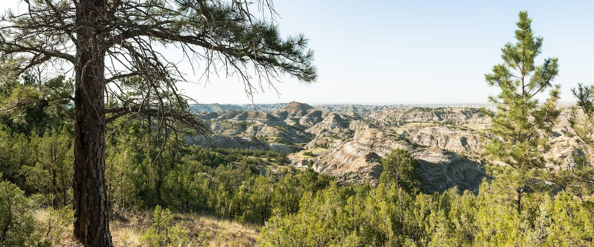 A mountainous landscape with dense forests and rugged terrain.