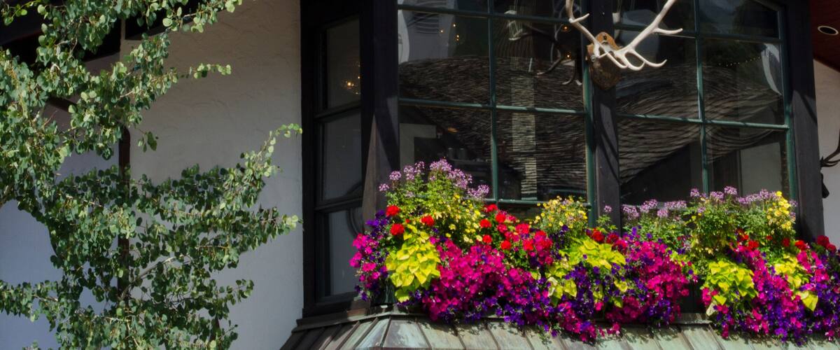 Vail Clock Tower in Summer