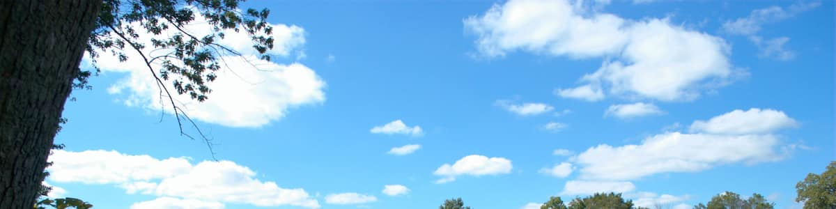 Fox River, Silver Springs State Park, Yorkville, Illinois USA