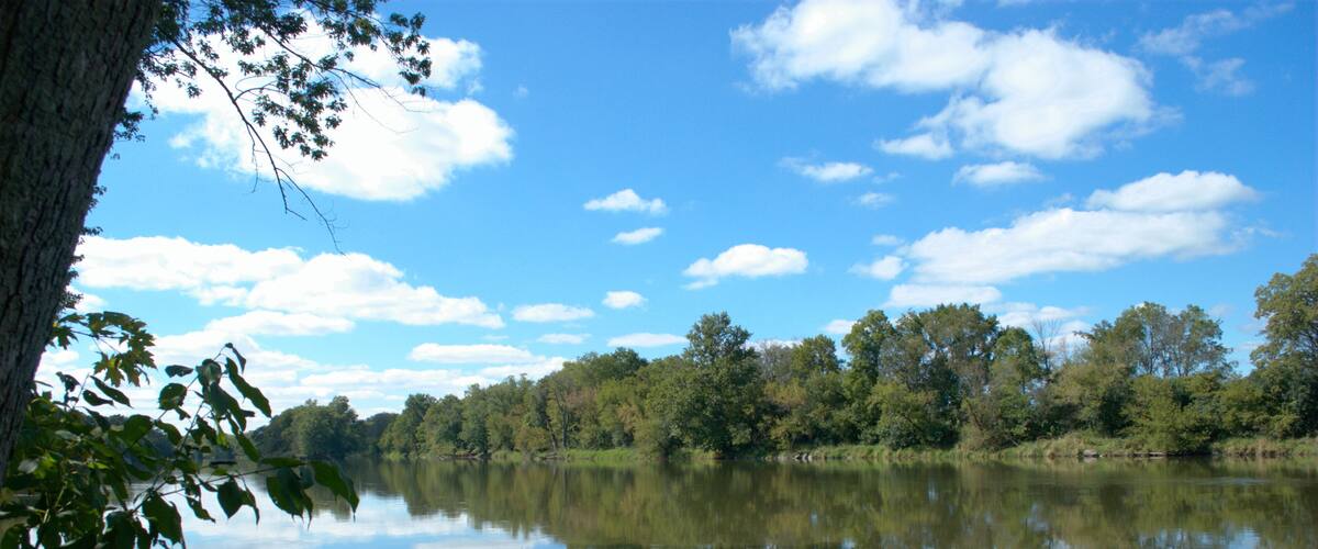 A calm lake with reflections of trees and sky, surrounded by greenery and a clear blue sky.