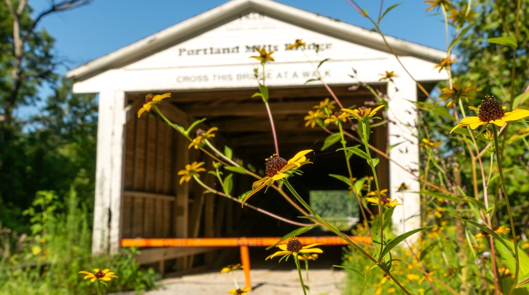 The Portland Mills covered bridge, built in 1858 by Henry Wolfe, currently closed to road and foot traffic. Waveland, Indiana, USA