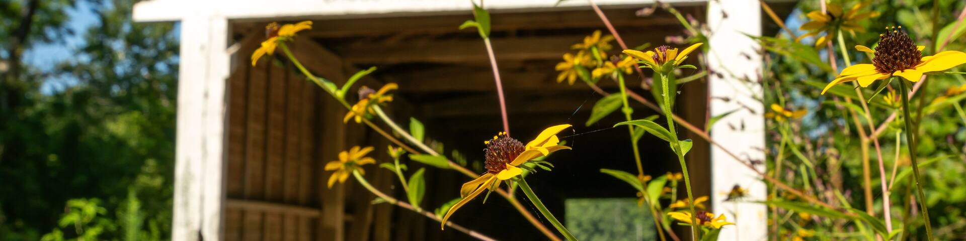 The Portland Mills covered bridge, built in 1858 by Henry Wolfe, currently closed to road and foot traffic. Waveland, Indiana, USA