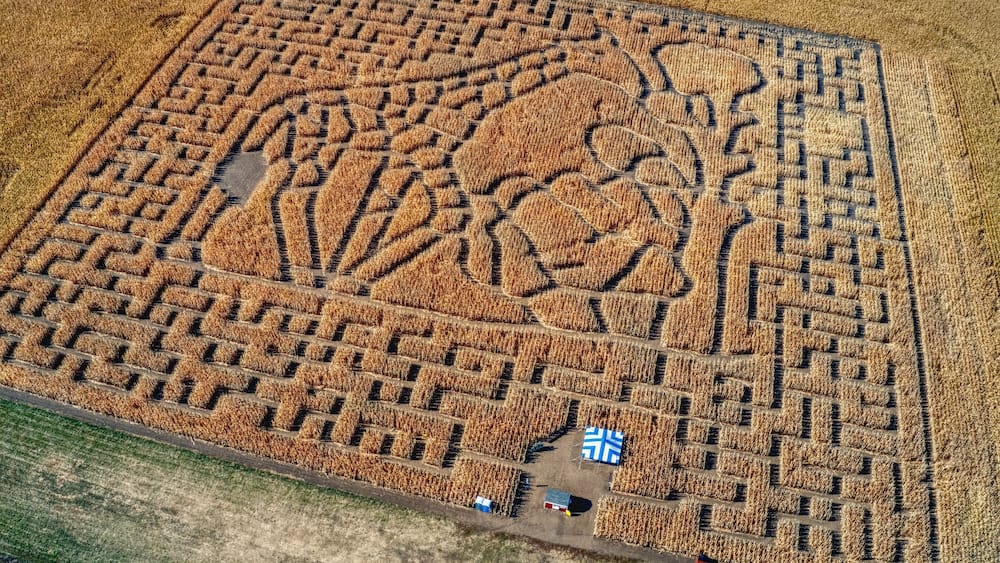 Aerial View of a Corn Maze outside of Sioux Falls, South Dakota