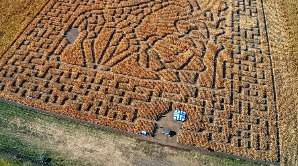 Aerial View of a Corn Maze outside of Sioux Falls, South Dakota