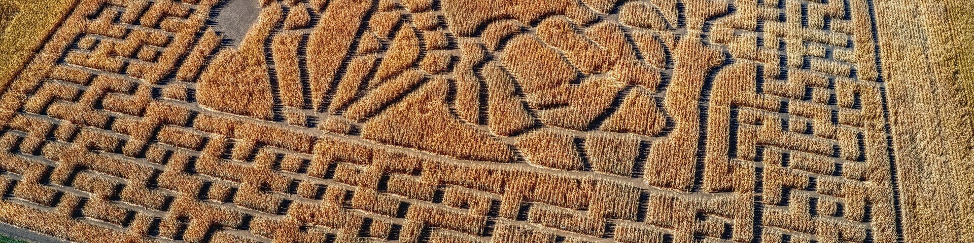 Aerial View of a Corn Maze outside of Sioux Falls, South Dakota