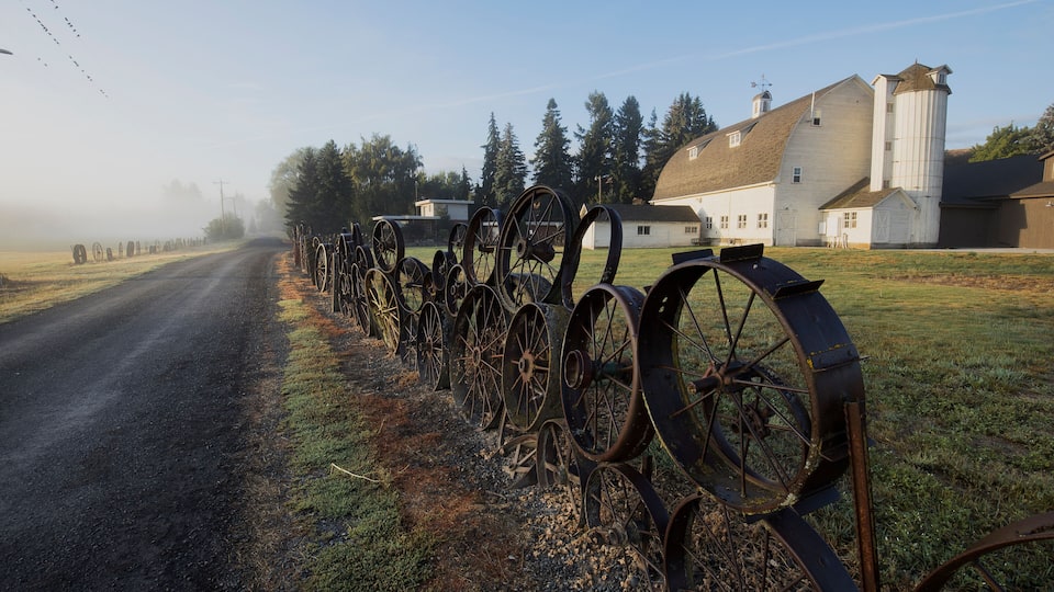 A rural road lined with old, rusted metal wheels, a white barn, and a silo in the background.