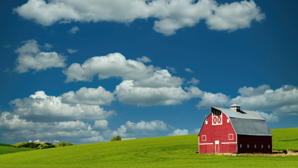 Big sky above a red bar in a green wheatfield