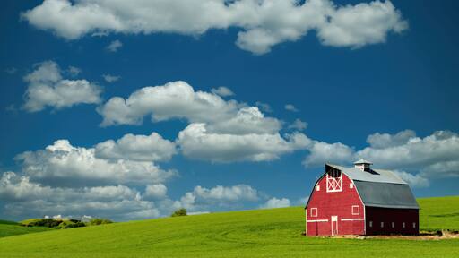 Big sky above a red bar in a green wheatfield