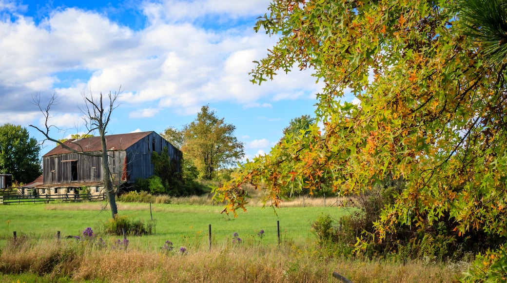 Old barn on Pontius Road, in the Uniontown / Hartville Ohio area, October 2016.