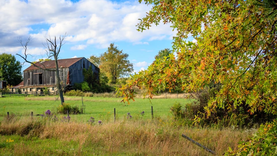 A rustic barn, a fenced field, and a tree with autumn leaves.