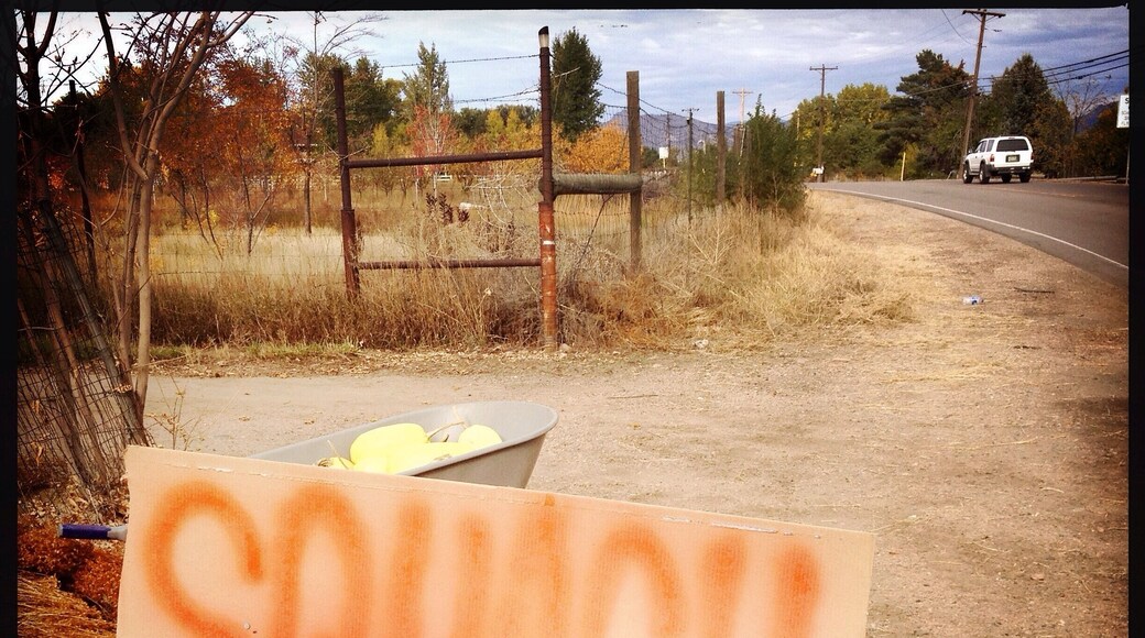 Clever marketing technique?