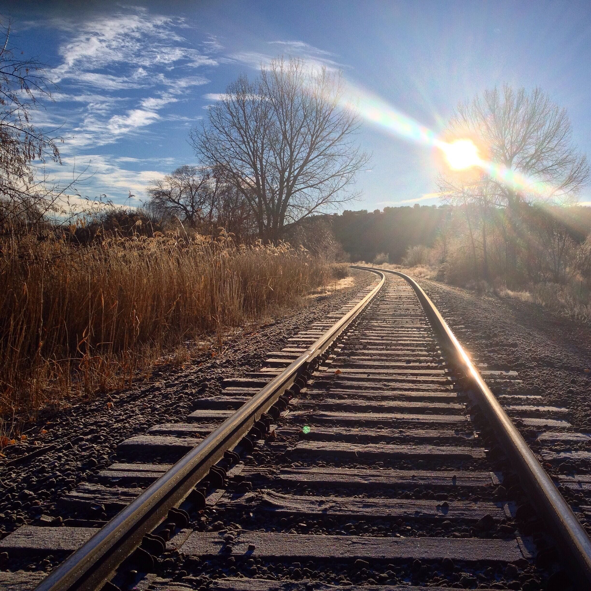 A railway track curving through a field with dry grass and trees under a clear sky.