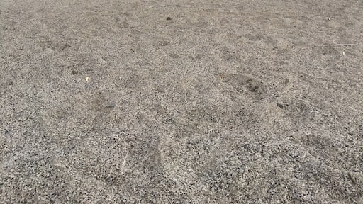 One of my favorite quaint beaches on Lake Erie. Small public beach with the best views.