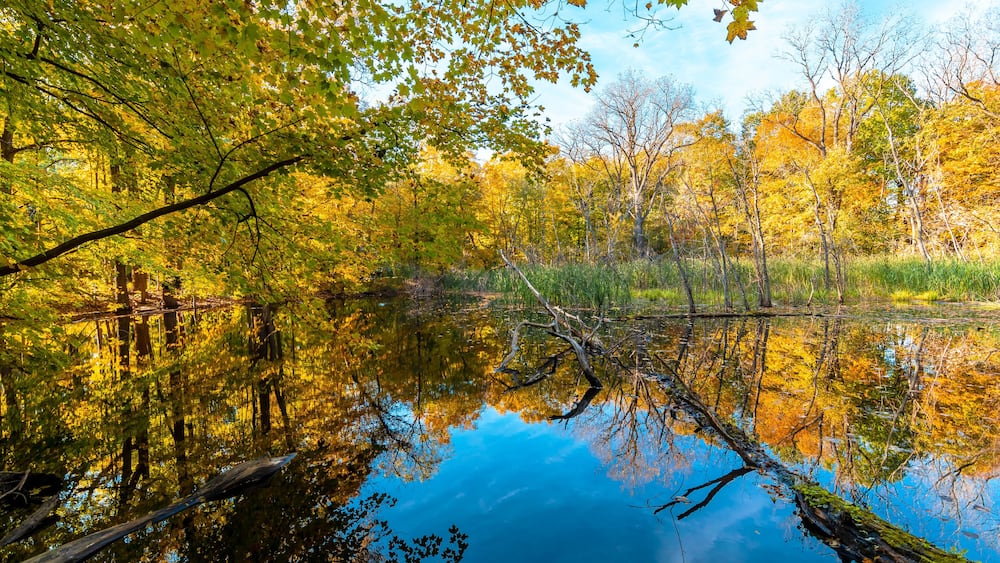 Potawatomi Woods and Lake view in Wheeling Township of Illinois